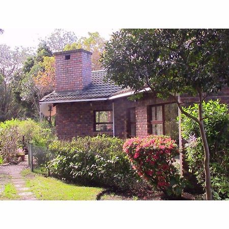 Forest Nest Cottage, Tsitsikamma Stormsrivier Exteriér fotografie