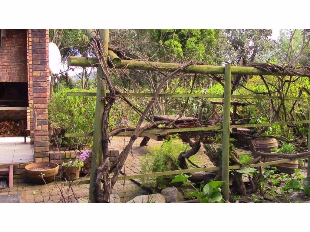 Forest Nest Cottage, Tsitsikamma Stormsrivier Exteriér fotografie